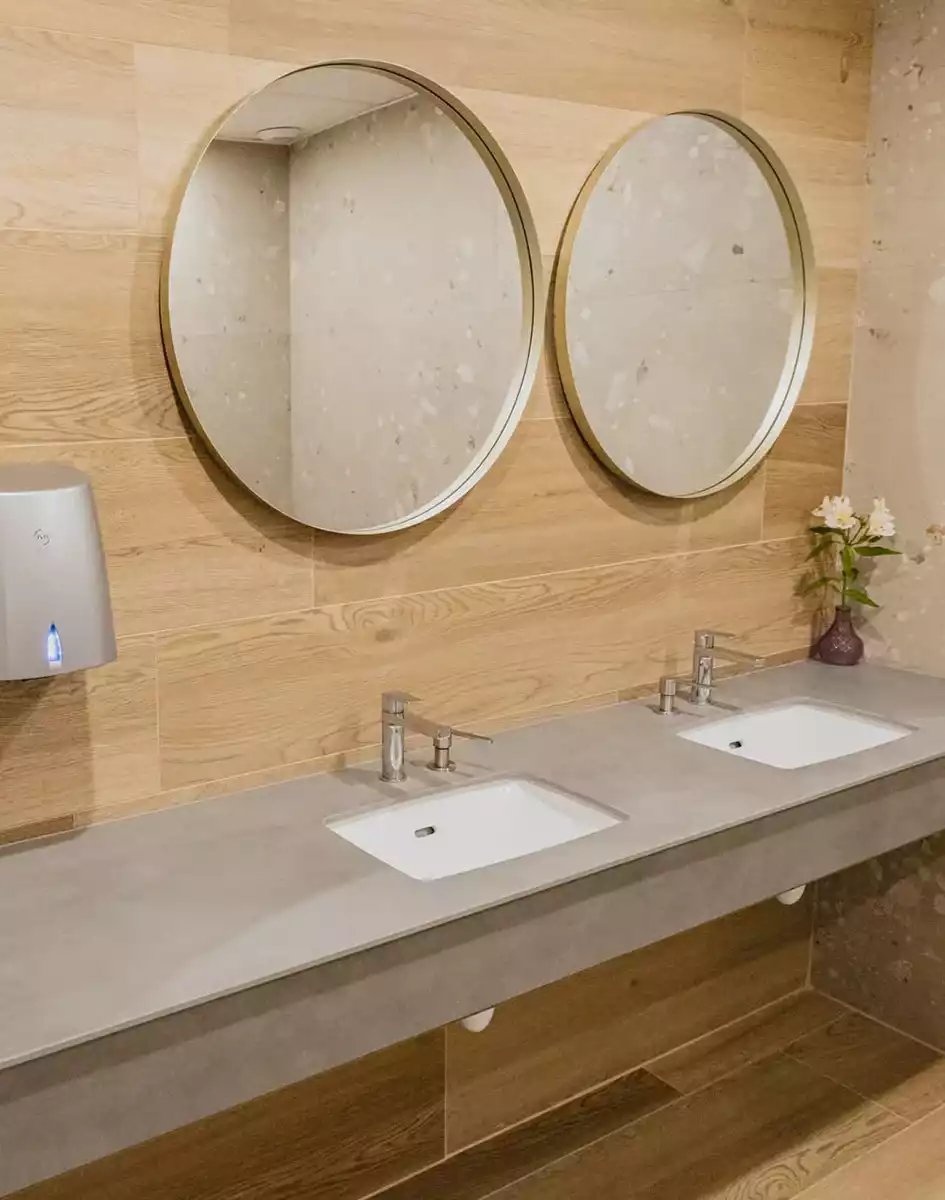 Salle d'eau et toilettes à la Grange aux Camélias - Pouilly-sous-Charlieu 42